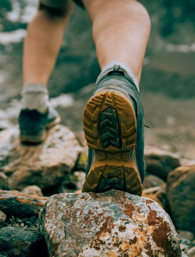 Foto: Getty Images (unsplash)