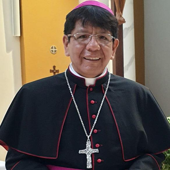 Luis Alberto Huamán Camayo
