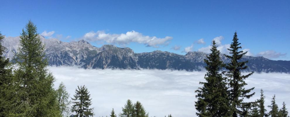 Berge über Wolken G. Witteler