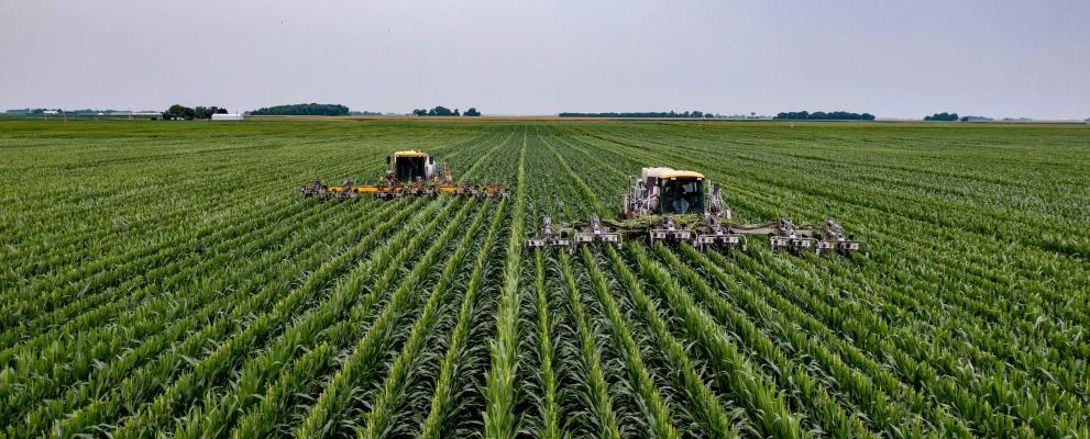Felder Landwirtschaft
