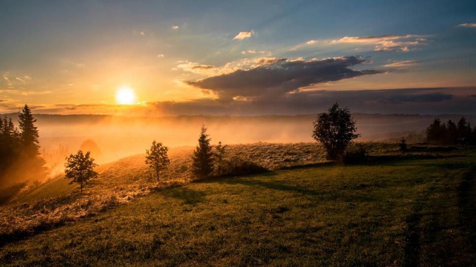 Nebellandschaft